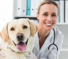 Veterinary Doctors - Best of Jalgaon